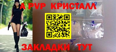 2c-b Кингисепп