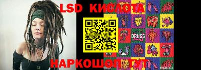 2c-b Кингисепп