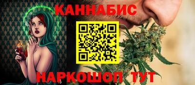 2c-b Кингисепп