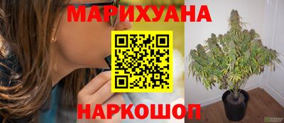 стаф Кимры