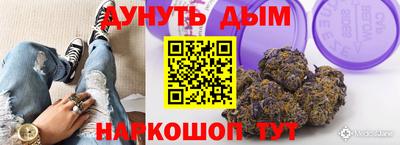 2c-b Кингисепп